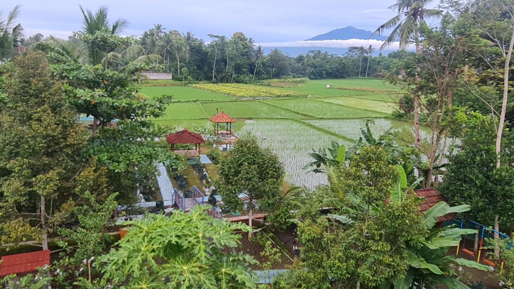 Anugrah Borobudur Magelang Exterior foto